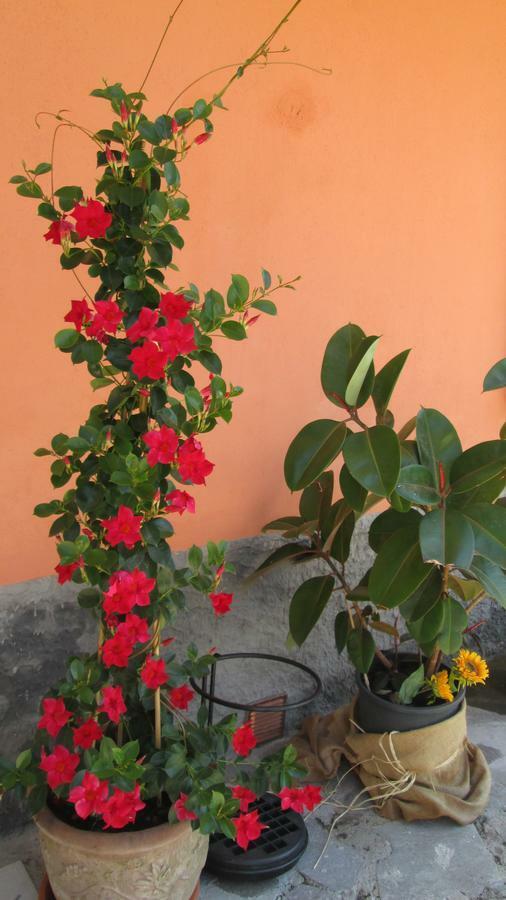 B&B Agora Sarzana Kültér fotó